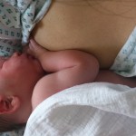 Sophia will mal nucklen